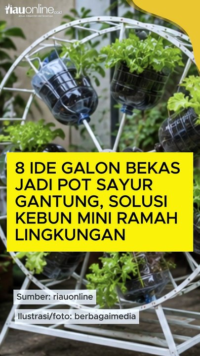 8 Ide Galon Bekas Jadi Pot Sayur Gantung, Solusi Kebun Mini Ramah Lingkungan