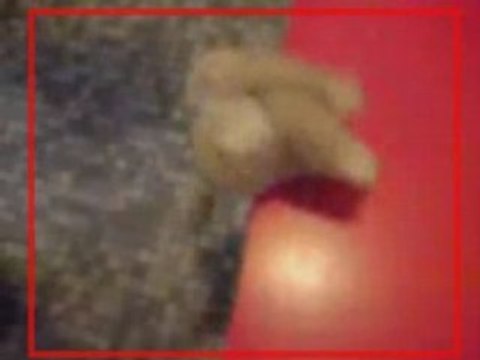 Les aventures de Popo - Episode 05 - Sony ericsson K850i