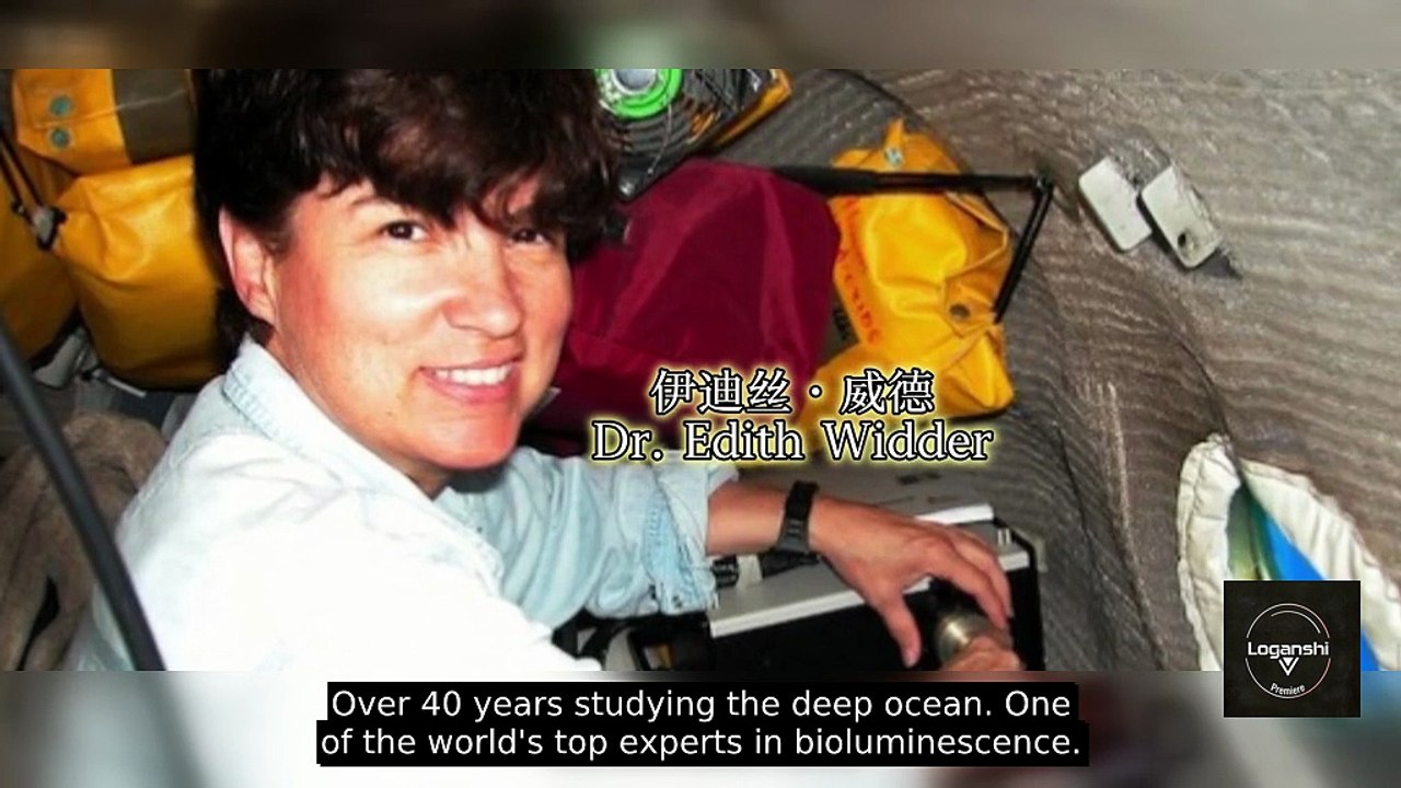 The Colossal Squid: Why Humans Have NEVER Seen One Alive