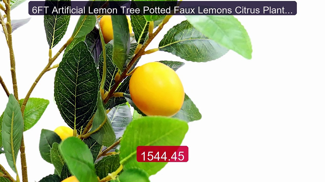 6FT Artificial Lemon Tree Potted Faux Lemons Citrus Plants wit... -- Hot Deal 2026 | Limited Offer!