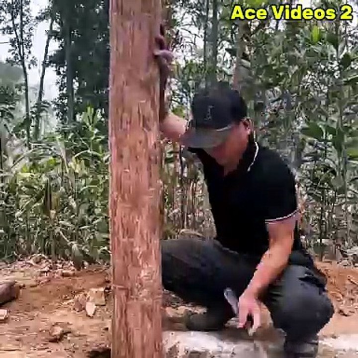 40 Days of Solo Survival Creating a Hidden Forest Shelter with Wood Stone #survival #bushcraft #outdoors #shelter #camping