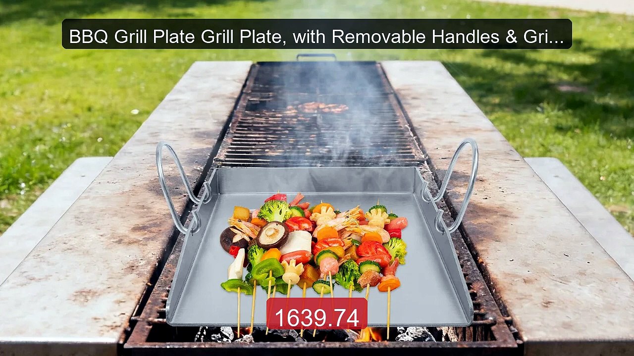 BBQ Grill Plate Grill Plate, with Removable Han...