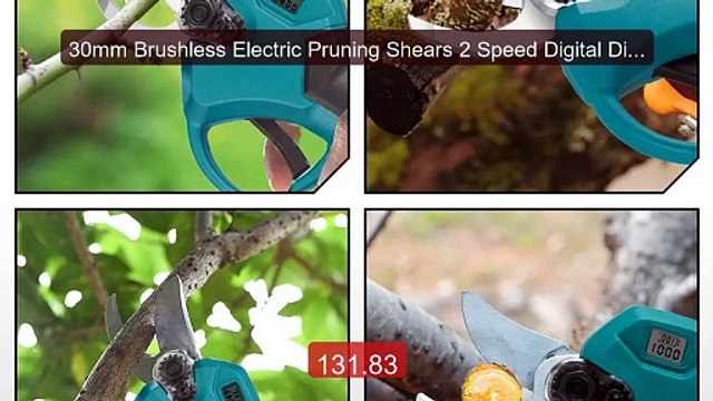 30mm Brushless Electric Pruning Shears 2 Speed Digital Disp... Top Pick 2026 | Unbeatable Price!