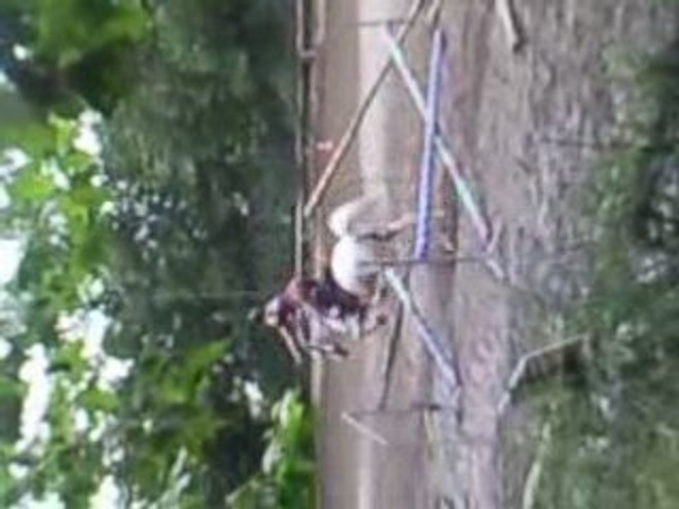 début de séance de mise en selle à l'obstacle