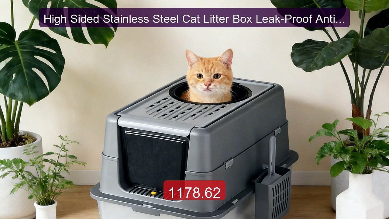 High Sided Stainless Steel Cat Litter Box Leak-Proof Anti-Slip... -- Best Buy 2026 | Great Quality!