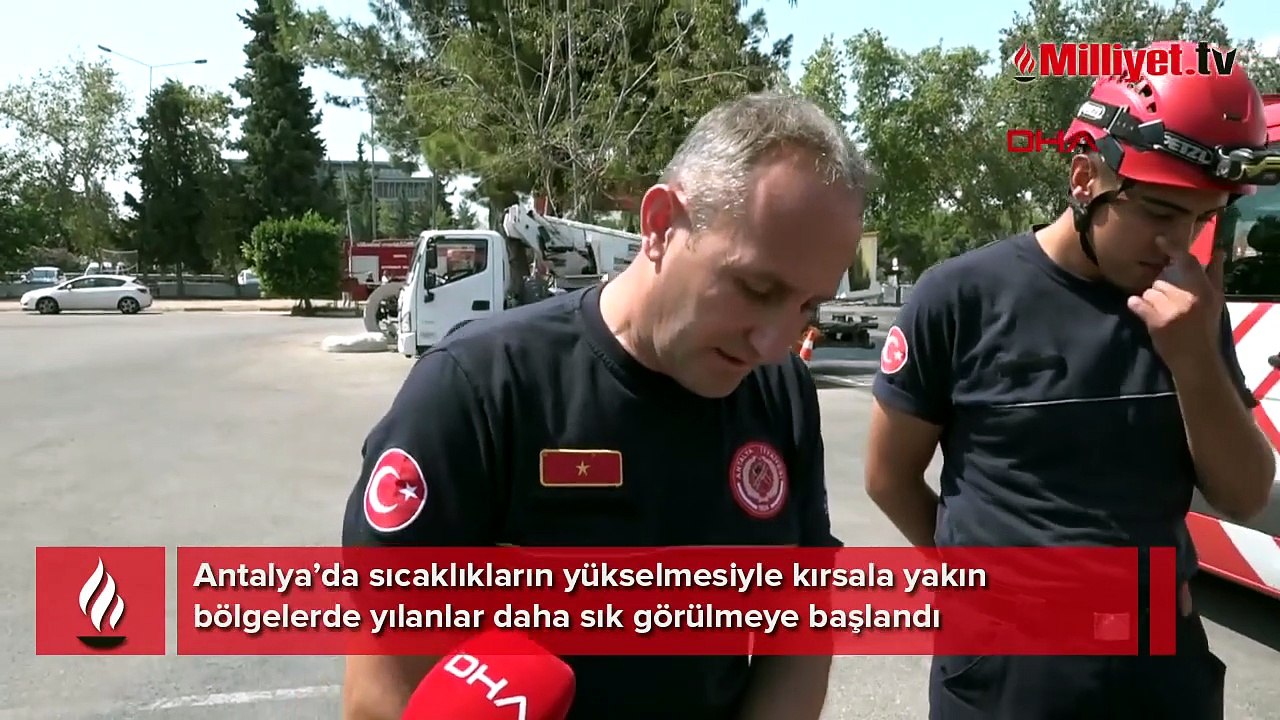 Bir kenti yılanlar sardı! Evlere kadar girmeye başladılar: 'Bir günde 10 vaka geliyor’