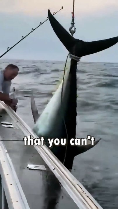 tunefish science facts