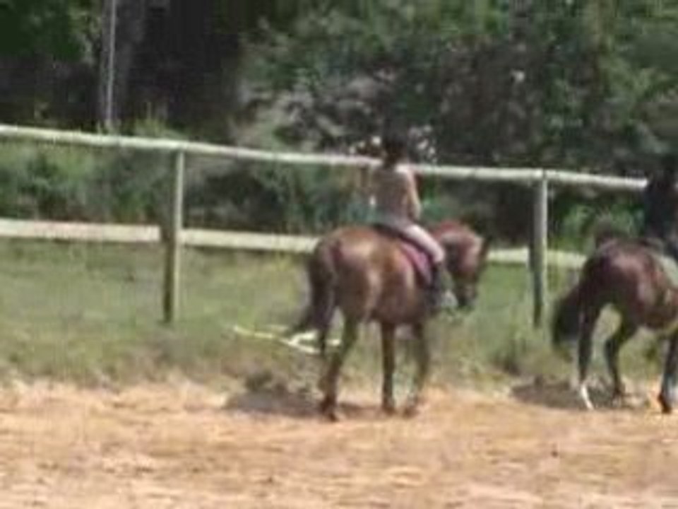 cours cheval (14h) du 05.07.08