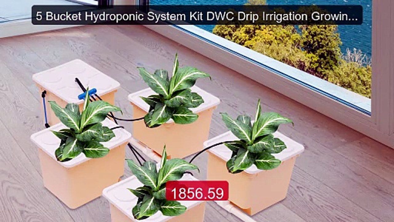 5 Bucket Hydroponic System Kit DWC Drip Irrigation Growing Nur... -- Hot Deal 2026 | Limited Offer!