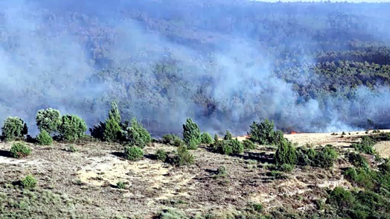 El incendio de La Mierla avanza hacia el parque natural de la Sierra Norte de Guadalajara, con siete pueblos evacuados