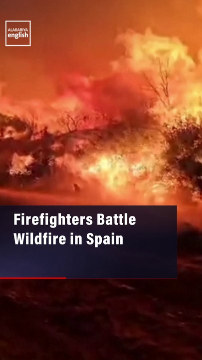 Firefighters Battle Wildfire in Spain