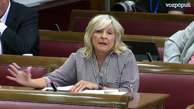 Manuel Llamas, el Director Adjunto Operativo (DAO) de la Guardia Civil, ha asegurado en el Senado que no piensa dimitir de momento