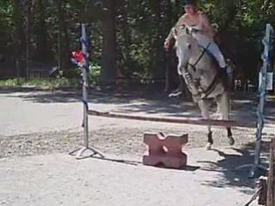 Concours de saut en liberte