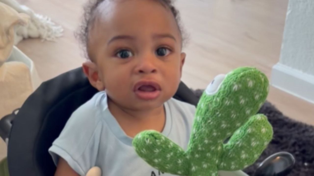 Baby’s Standoff With A Dancing Cactus Toy