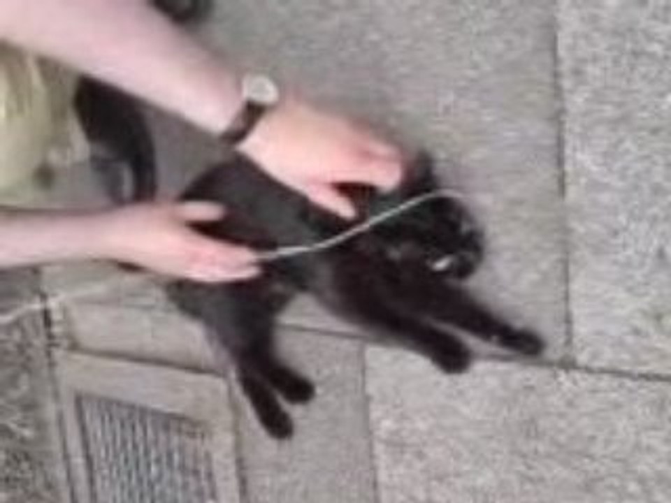Mov00022