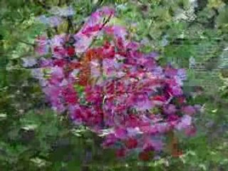 Vos vacances en Aveyron 100% nature