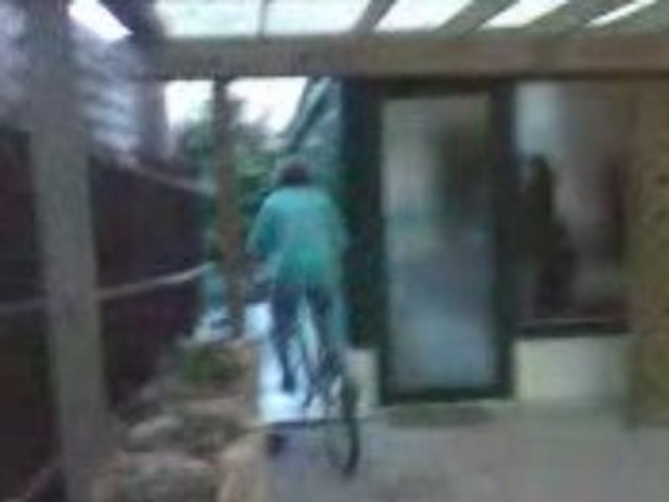 la marche de la mort