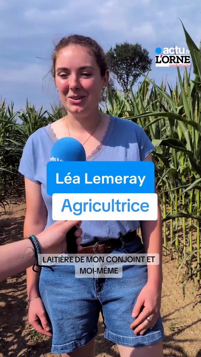 Un labyrinthe de maïs pour la famille dans l'Orne : Léa présente une idée de sortie pour cet été