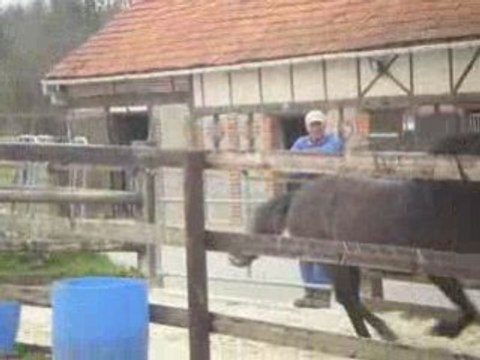 Royal saut en liberté