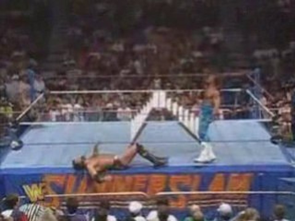 wwe Shawn Michaels vs Razor Ramon-Ladder Match WWF Title 2