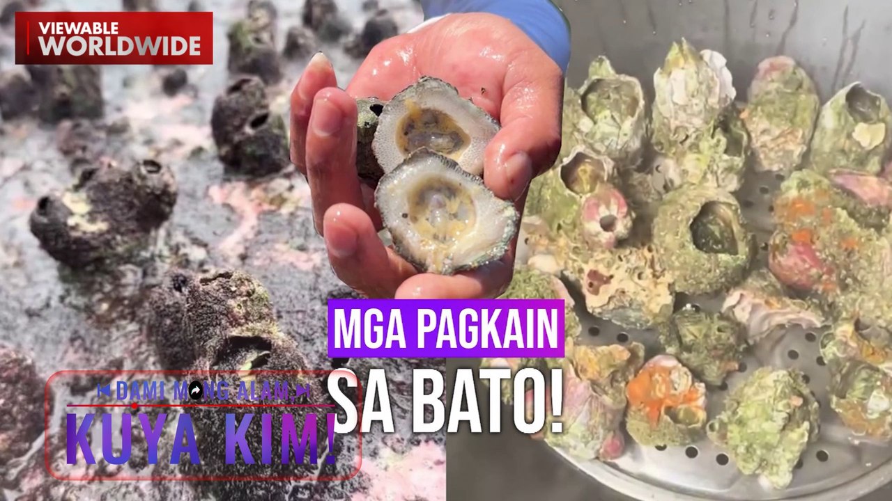 Mga pagkain na natatagpuan sa bato, tikman! | Dami Mong Alam, Kuya Kim!