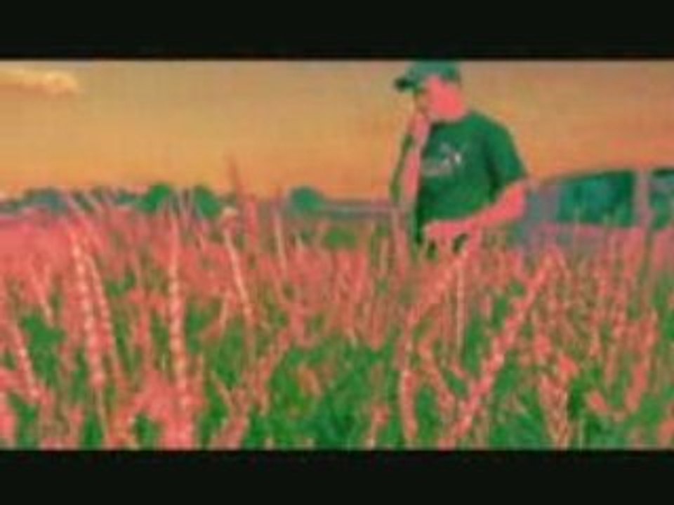 Traqué en campagn.avi