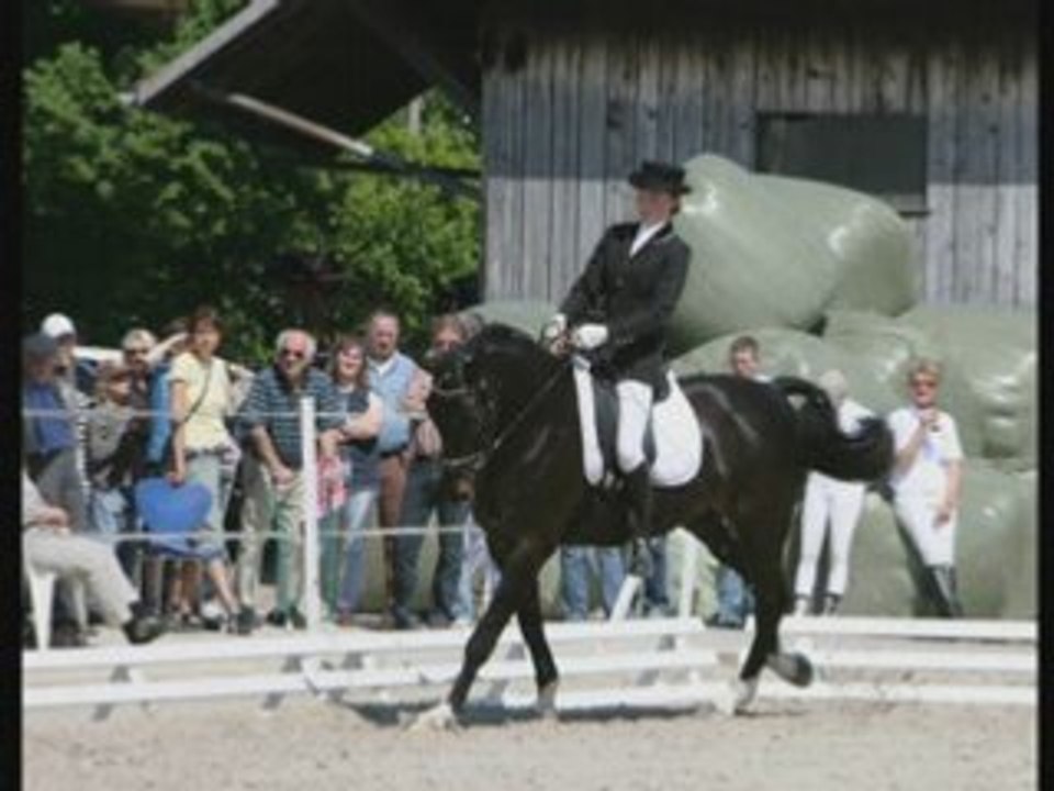 Le Dressage