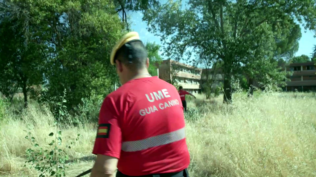 Así se entrena a los perros de élite de la UME