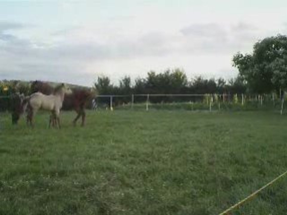 Séance du 03.04.2008