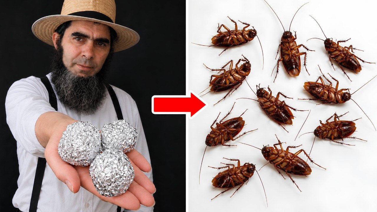 Kill Cockroaches Fast with Aluminum Foil... CHEAP & SIMPLE!