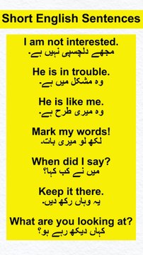 Daily Use English Sentences With Urdu Translation #kidsonlinelearningplatform #spokenenglish #english #englishlearning #englishspeaking #englishlanguage #learnenglish #LearnEnglishFast #EasyEnglish #Urdu #Translation #English #Sentences #Vocabulary