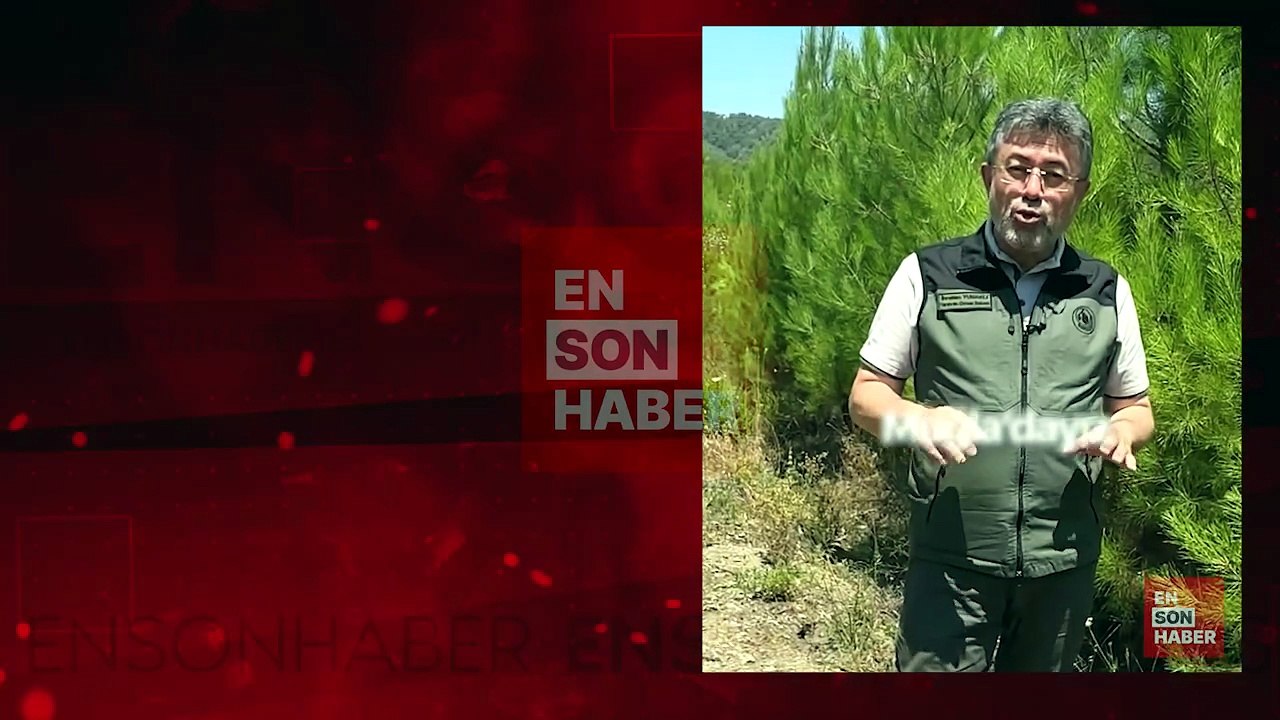 Bakan Yumaklı paylaştı: Yanan alanlar ne mi oluyor