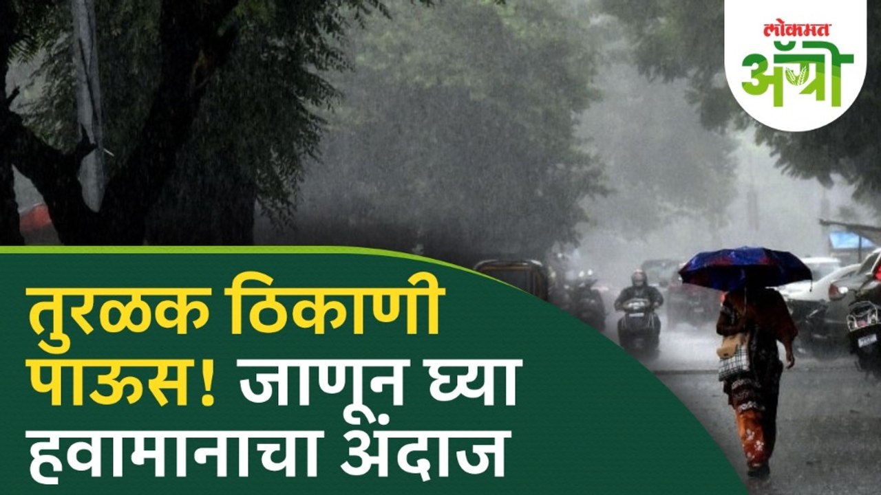 Maharashtra Rain Alert : विदर्भात पाऊस, पण केवळ...
