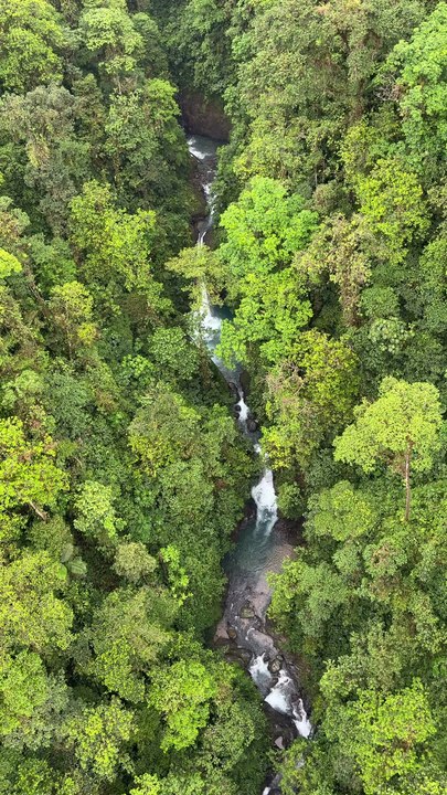 Mashpi Lodge's Hands-On Rainforest Experience