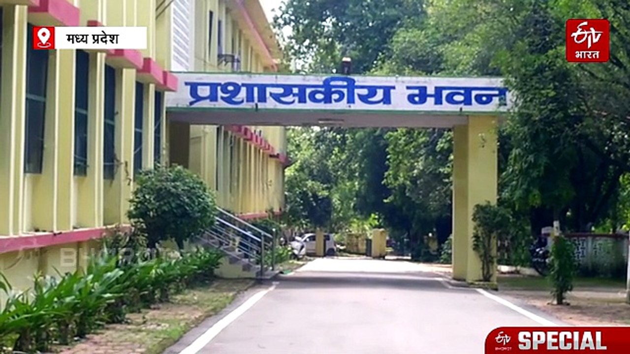 रीवा में मौजूद है 50 हजार साल पुराना भैंसे का जीवाश्म, 8 फीट लंबी थी सींग और माथा