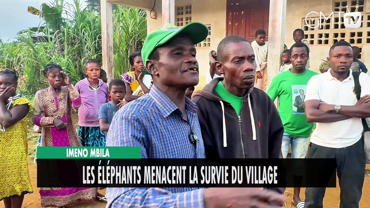 [#Reportage] Imeno Mbila : les éléphants menacent la survie du village