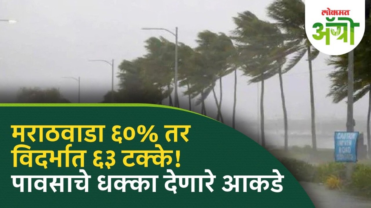 मराठवाडा विदर्भात सरासरीच्या ४०%ने पाऊस कमी! 'हे' जिल्हे रेड झोनमध्ये | Maharashtra Rain Update