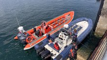 Une sortie en mer à la rencontre des dauphins