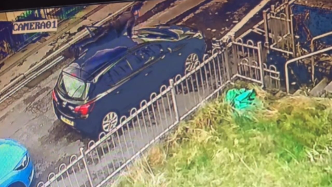 Boy Wants To Join A TikTok Trend But Ends Up Falling From The Roof Of Car