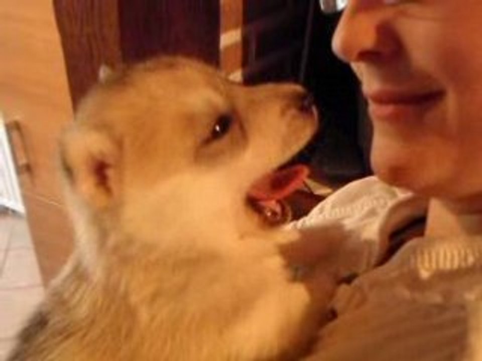 Haska est fatiguée ^^ le 5 juin 08