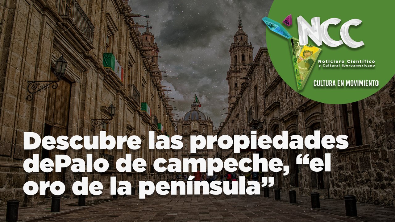 Descubre las propiedades de Palo de campeche, “el oro de la península"