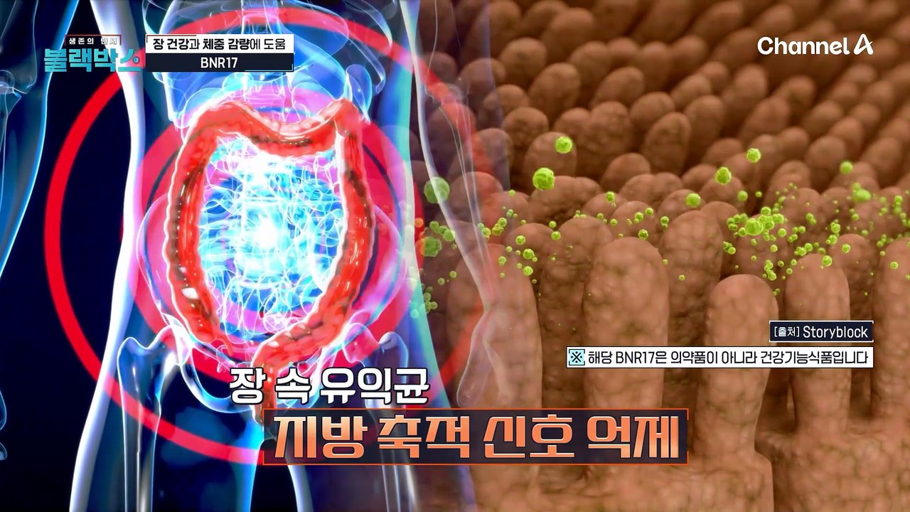 허리둘레 평균 5CM 감소!? 건강한 체중 감량으로 요요 현상 없는 체형 유지에 도움된 BNR17