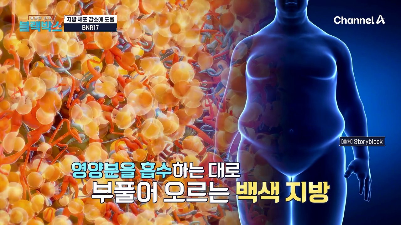 중년 여성의 고민 거미형 체형!? 백색 지방 팽창을 막는 데 도움을 주는 BNR17