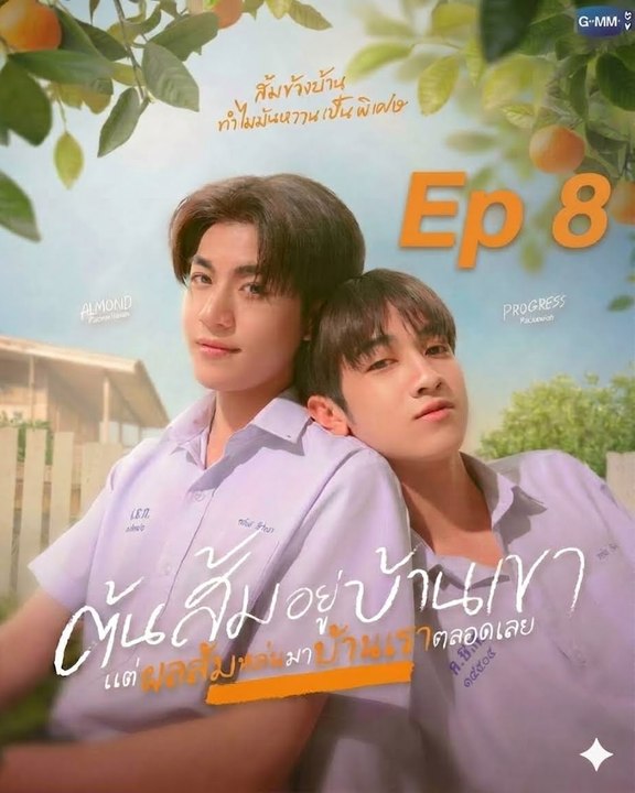 When Or@nges . F@ll Ep 8 Engsub Hd Kitkat Drama
