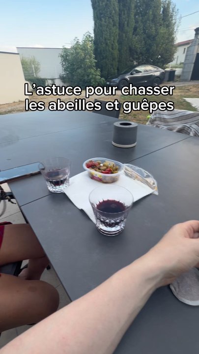 L’astuce pour chasser les abeilles et guêpes autour de la table 🐝