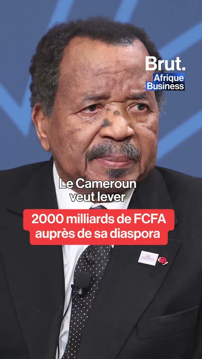 Cameroun : les autorités veulent mobiliser 2 000 milliards CFA auprès de la diaspora