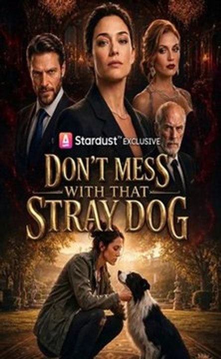Don't Mess with That Stray Dog -(2026) - FULL ENGSUB | Reelshort Hot HD