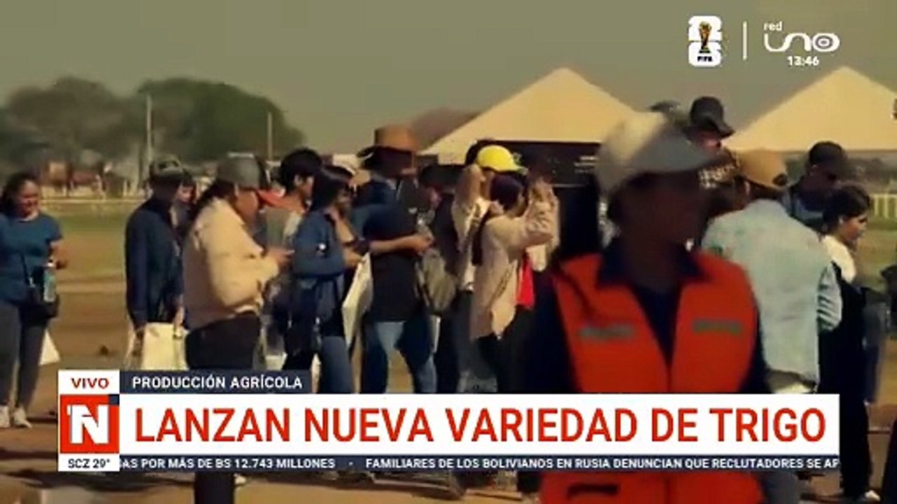 LANZAN NUEVA VARIEDAD DE TRIGO