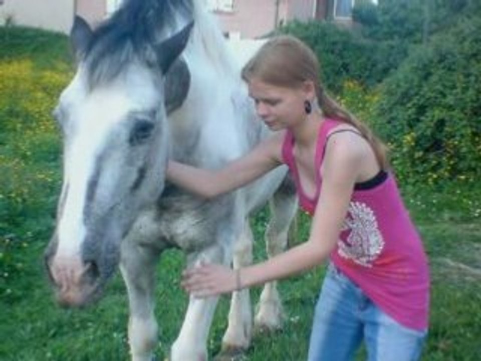 Mes nanimaux