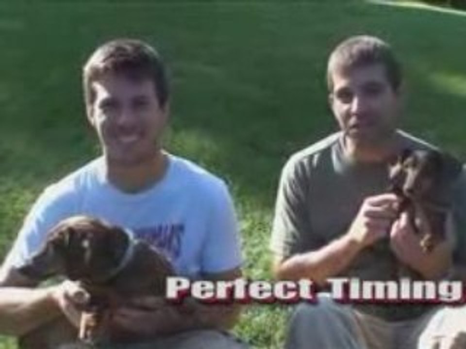 Genewize home business dna supplements and vitamins